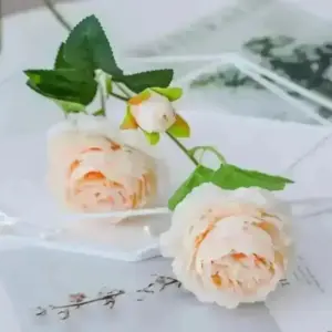 S9b4500ab5f2247b1a9132592caeace275