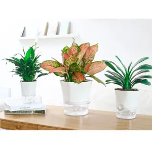 S9b5220a0e495441f9cccce9f70e4b717u