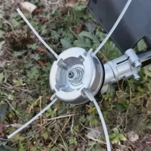 S9c73f4d0130e4fecbc5347889d0b6158t