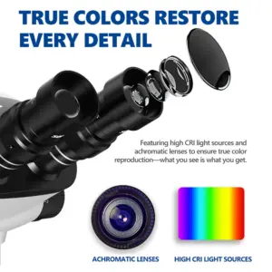 S9c8c9d372d324691a33dbd58c723150e0