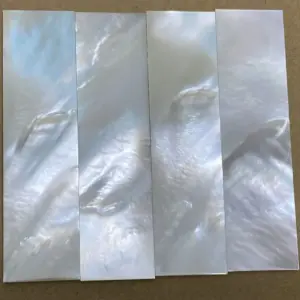 S9d4b15e815c9427ca53f946057f5cbb87