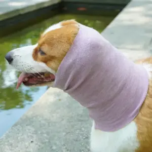 S9d5b4acd489d4f1c9635fdeb70bf965dU