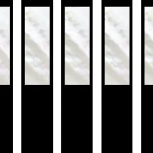 Sa0c733ca15264324b779262d7fd2b57dt