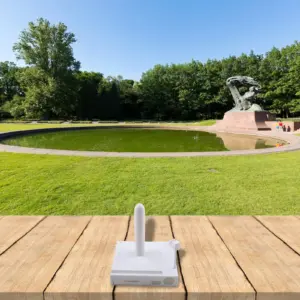 Sa249b83f4394441187906b03e5fdfb9cS