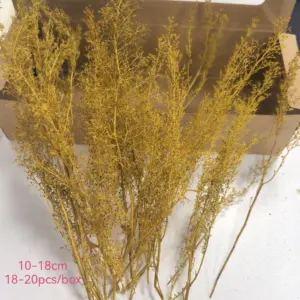 Sa2a3818ca3d645e8b196d118395d7dffA