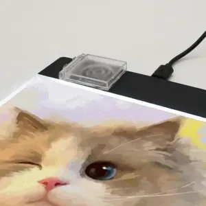 Sa4d8b081412440fa8428d14967a8839fa