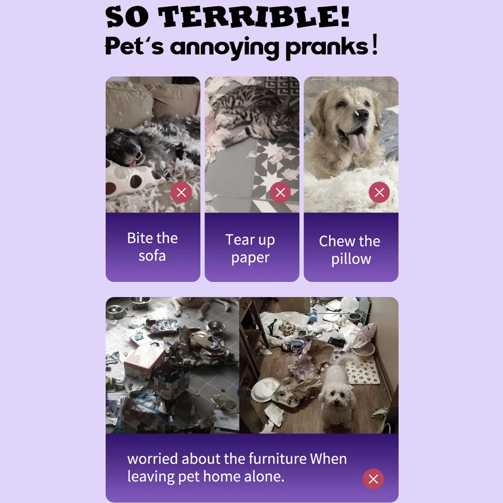 No Chew Pet Training Spray 100ML 3 No Chew Pet Training Spray 100ML - Image 3