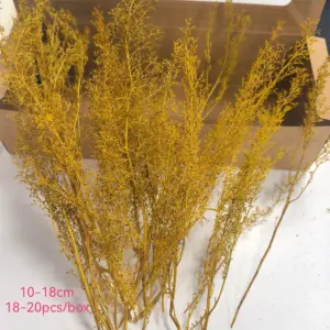 Sab3e0a9b9d8b406a9e65254ed51ae477g