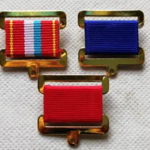 Vintage Hexagonal Badge with Vibrant Stripes 14 Sadd98eb66bd547a4862c3d44aa5e5312G