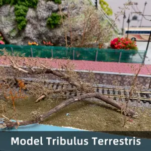 Sae25bfc6dec9472f83b2f3f8fbae4c29a