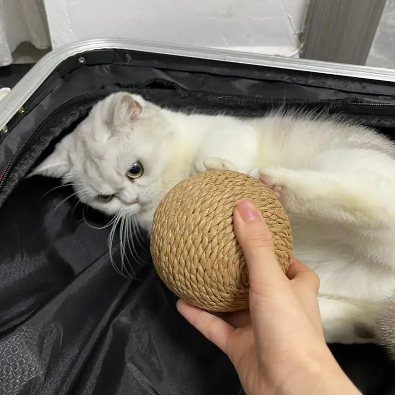 Interactive Handmade Cat Toy Ball 4 Interactive Handmade Cat Toy Ball - Image 4