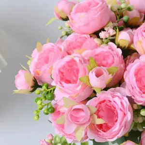 Sae9b47c4ee4c48cdab6294df852dd9f5L