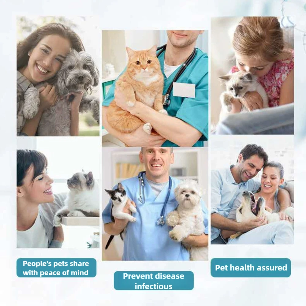 Pet Flea and Tick Spray 100ML for Pets 6 Pet Flea and Tick Spray 100ML for Pets - Image 6