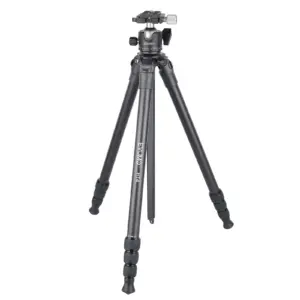 Saf4891fac3be49bb83bcd1eea44392f2v