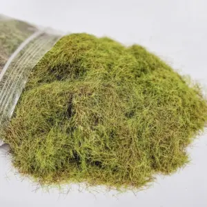 Saf648d4a21724a9786c6893e91782fd2v