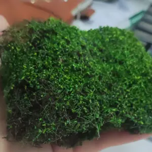 Saffc7226e5f143eb84c68de2afd5246aK