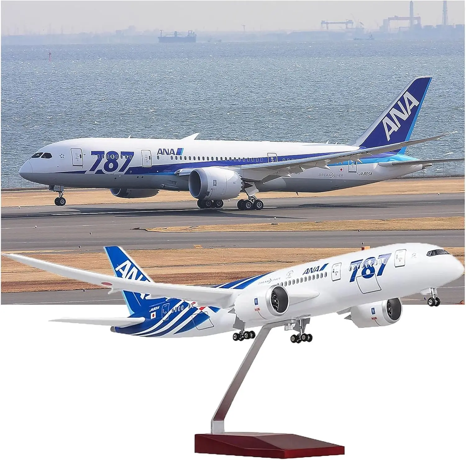 Boeing 787 1/130 Scale Diecast Model Aircraft 2 Boeing 787 1/130 Scale Diecast Model Aircraft - Image 2