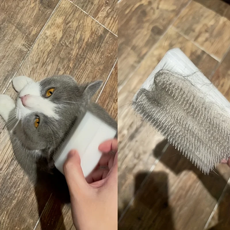 Gentle Cat Tongue Grooming Brush 3 Gentle Cat Tongue Grooming Brush - Image 3