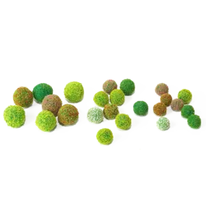 Realistic Miniature Grass Shrub Collection for Dioramas 14 Sb4dbe6a1c75a4c559acebeefcc30671d0