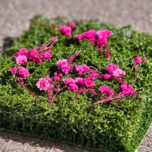 Sb50ba8ec98b446f98a0bc1eea19dffd1H