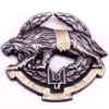 Ukrainian Special Operation Forces Enamel Pin