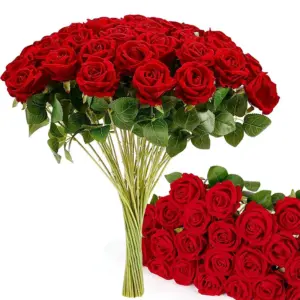 Sb711d94424de4e03ab5c9eda0a0db9abF