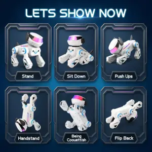 Sb962df6e87084977b153102594402a81Z