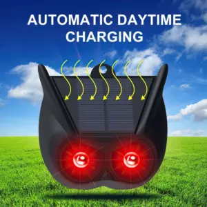 Sb9ab4bc997d9405db46f8ac8d9223971C