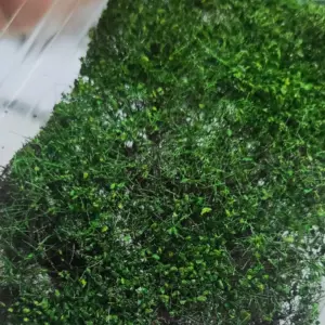 Sbb89375c76684191be2a99111cbd070a6