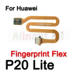 Sbbfe6e8270804002ac31da909091226cA