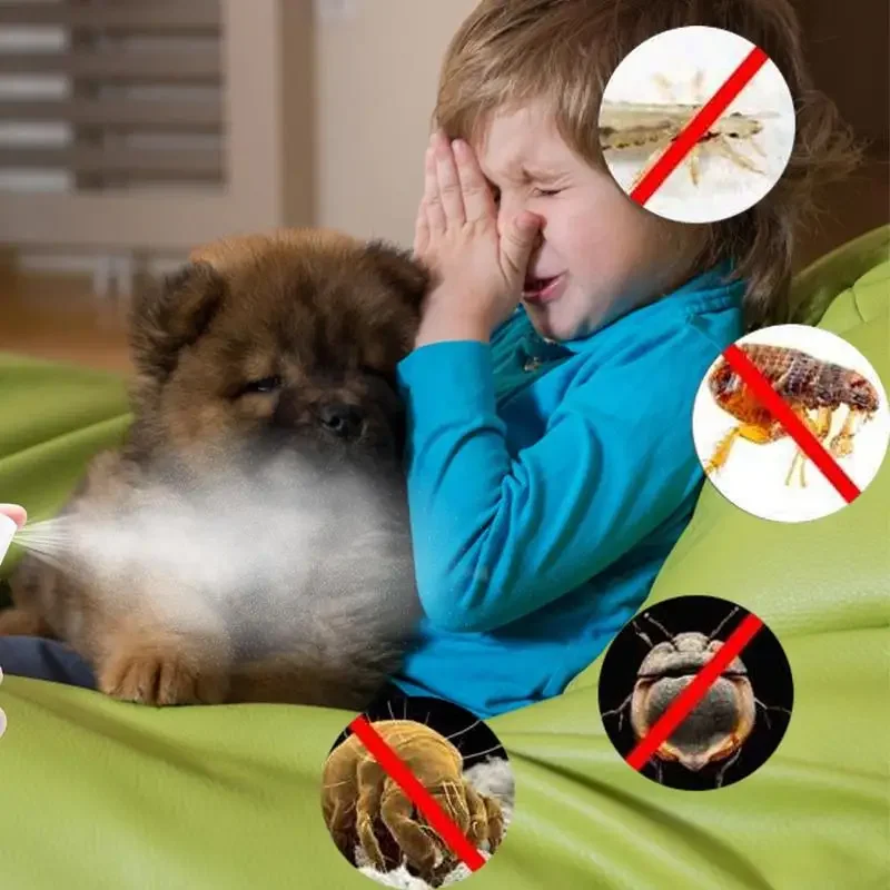 Pet Flea and Tick Spray 100ML for Pets 2 Pet Flea and Tick Spray 100ML for Pets - Image 2