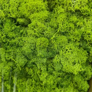 Sbca5804ee7b5468bad671bea5906dba7B