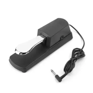 Elegant Metallic Finish Sustain Pedal for Digital Piano 15 Sbd7bd9f3172f4b408d1658f3f1ec3572x
