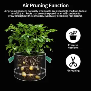 Sbdfe6ae6e4a546a5a62d0829365ff1cfL