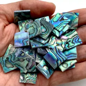 Sbe9e00af0bbc434f98a8d3d2f4c410d5z