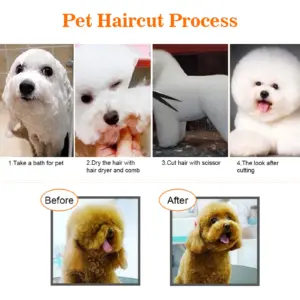 Sc3bcaafe6b2348eb8688c1eedf7cd797A