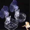 Reptile Food Water Bowl with Suction Cup