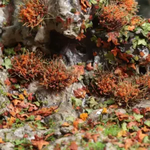 Sc474bbf233814ae9bce557584e69b435N