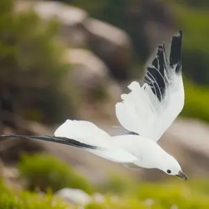 Sc682d3d18d224c95a342184c8d420156g