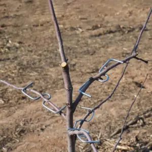 Sc6aa97dbca6049a2adea70b6484551a8M