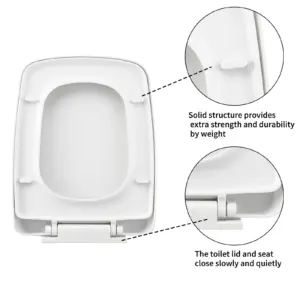 Sc748b225c7154ac1893f13df16df09337