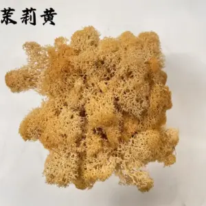 Sc7f01b09202a41a89981bd0cded8bdedA