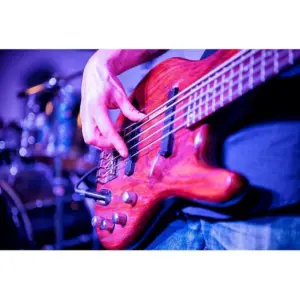 Durable Stainless Steel Bass Strings Set 13 Sca0314df07cf4db5922ec942fdd91aa1x