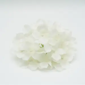 Sca74d3e22ae94471bc0c8eacc639a4ded