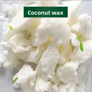 Natural Candle-Making Material & Mold Set 13 Scabcc3c1be1a499ea12284b33fd1400ej