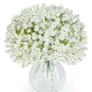 Scbbd15b2a97d4d9d9da06ae473c5c3cef