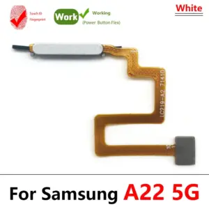 Sce0076858c7545429eaf6f246e9fd578c 2