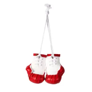 Mini Boxing Glove Keychain in Bright Colors 11 Scf34fa9403274fc5a40f783f9d547abfJ