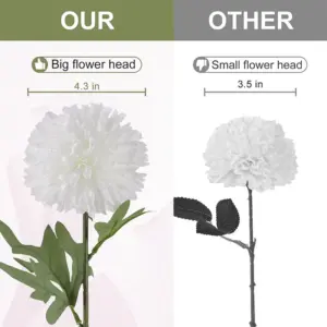 Scf9e349a52e048ef8df68c2aadedf102n