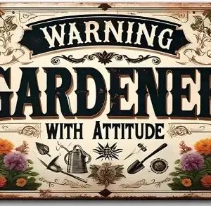 Sdae311b590a146fa92b6d4f3c89cf2e3Y